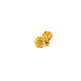 22KT Gold Studs