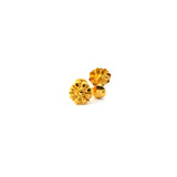22KT Gold Studs